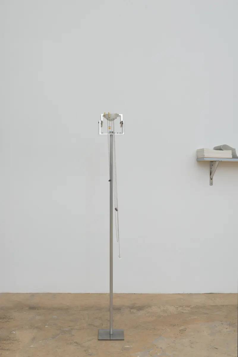 Xin Liu, falling 2