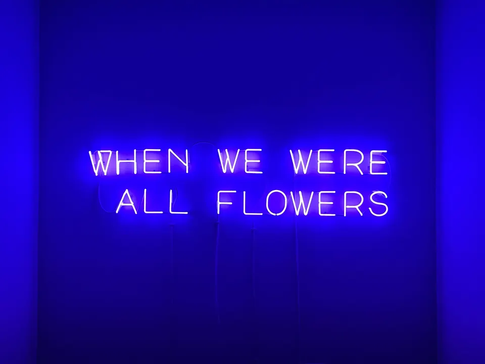 Xin Liu, When We Were All Flowers