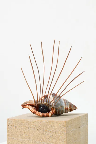 Katarzyna Przezwańska, Untitled