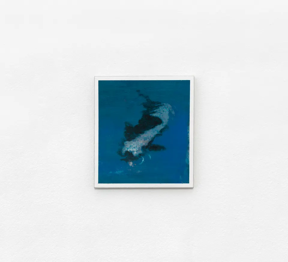 Ian Grose, Apprehension