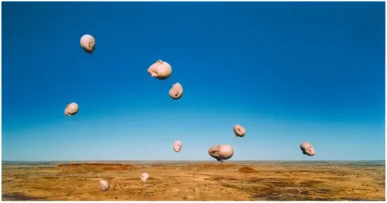 Rosemary Laing, between a rock and a place with no fish, a collaboration with Stephen Birch