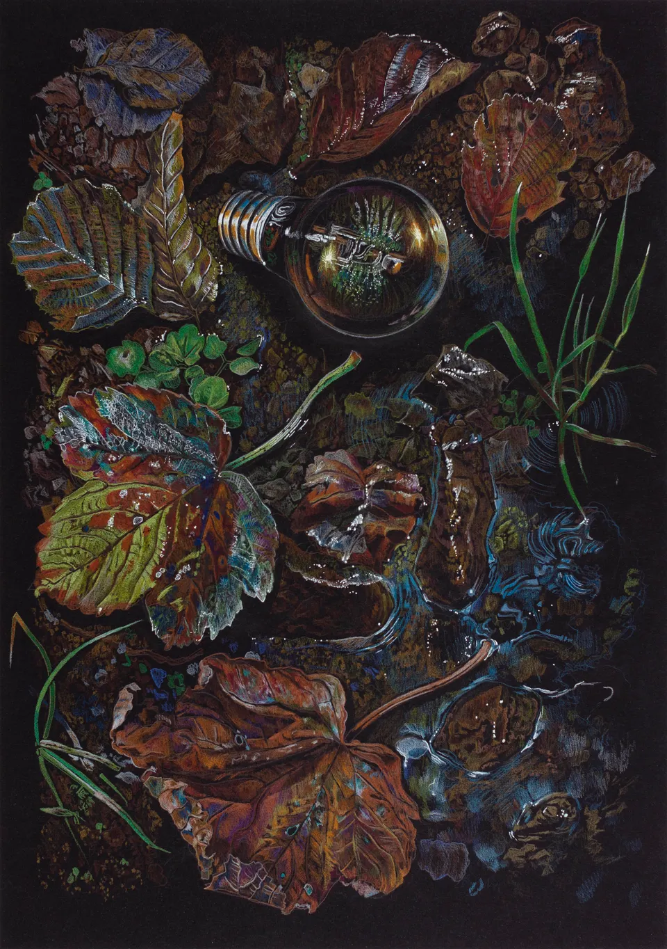Deborah Poynton, Drawing on Black Paper 25