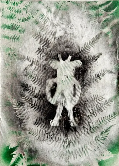 Hans Krüsi, Untitled