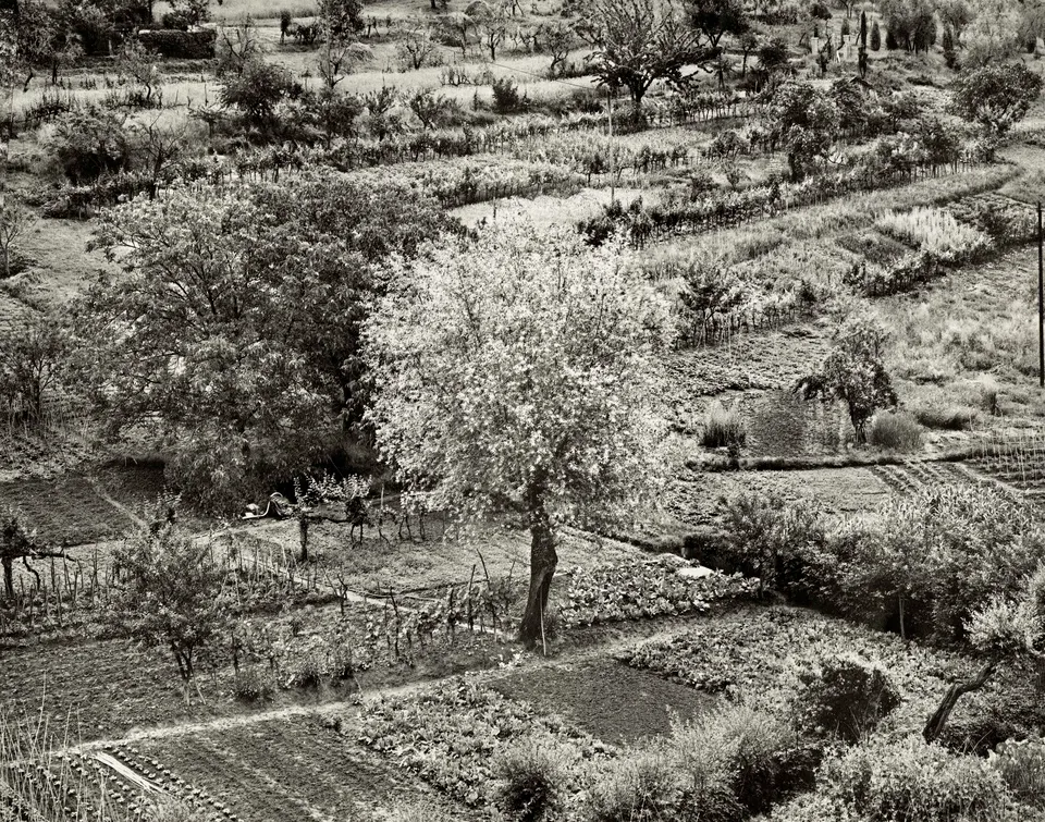 Emmet Gowin, Siena, Italy