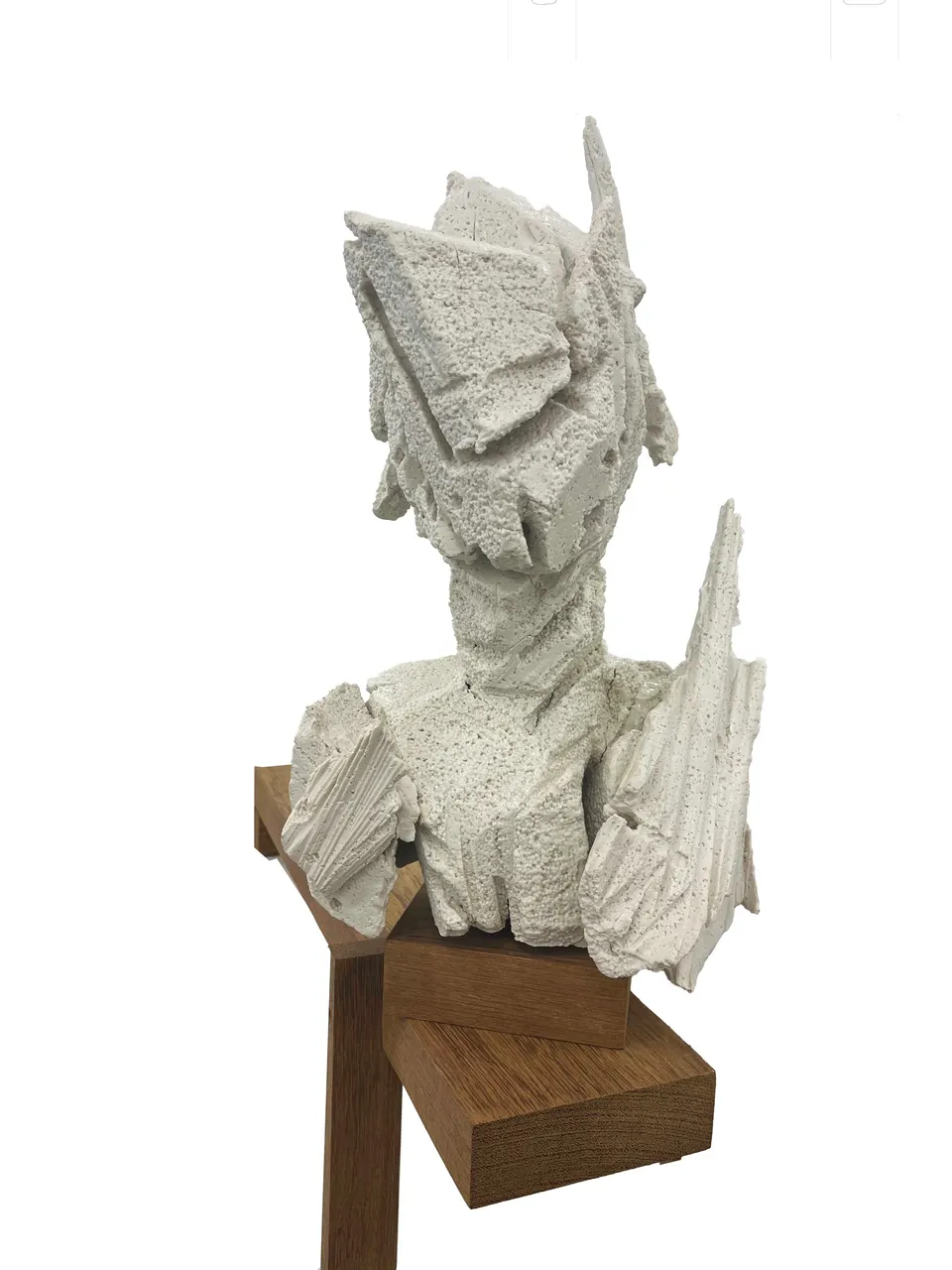 Wim Botha, Untitled (I withhold 1)